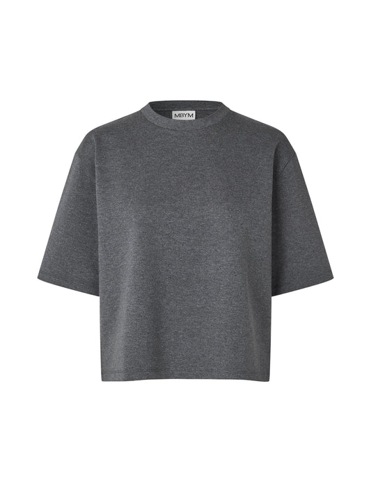 Emrys-M t-shirt charcoal melange - MbyM